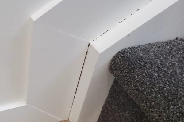 Interior Timber Shrinkage & Movement